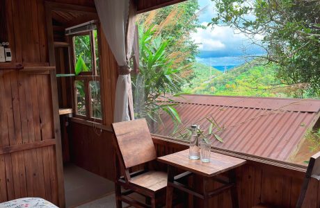 Phòng Tĩnh – Handcraft Wooden Cabin with Forest View in Silent