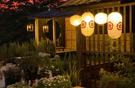 Nhà gỗ nguyên căn Yuna House – Căn Nhà đầy nắng