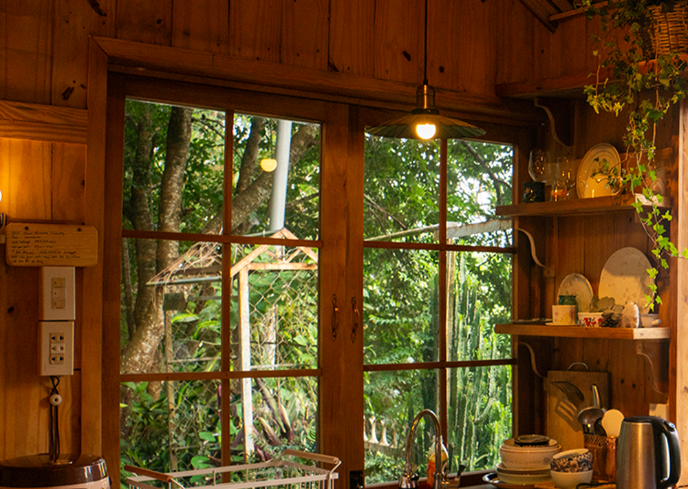 AN YÊN – A Little Wooden Cottage in Da Lat 🌿 | A Cozy Hideaway in Nature
