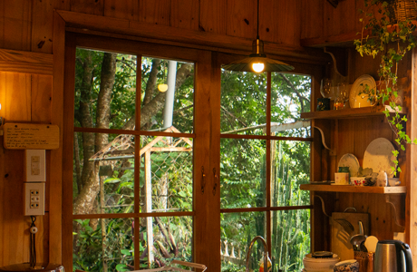 AN YÊN – A Little Wooden Cottage in Da Lat 🌿 | A Cozy Hideaway in Nature